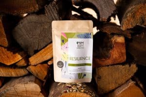 Boost Immune System with Resilience Herbal Teas | Mim Beim