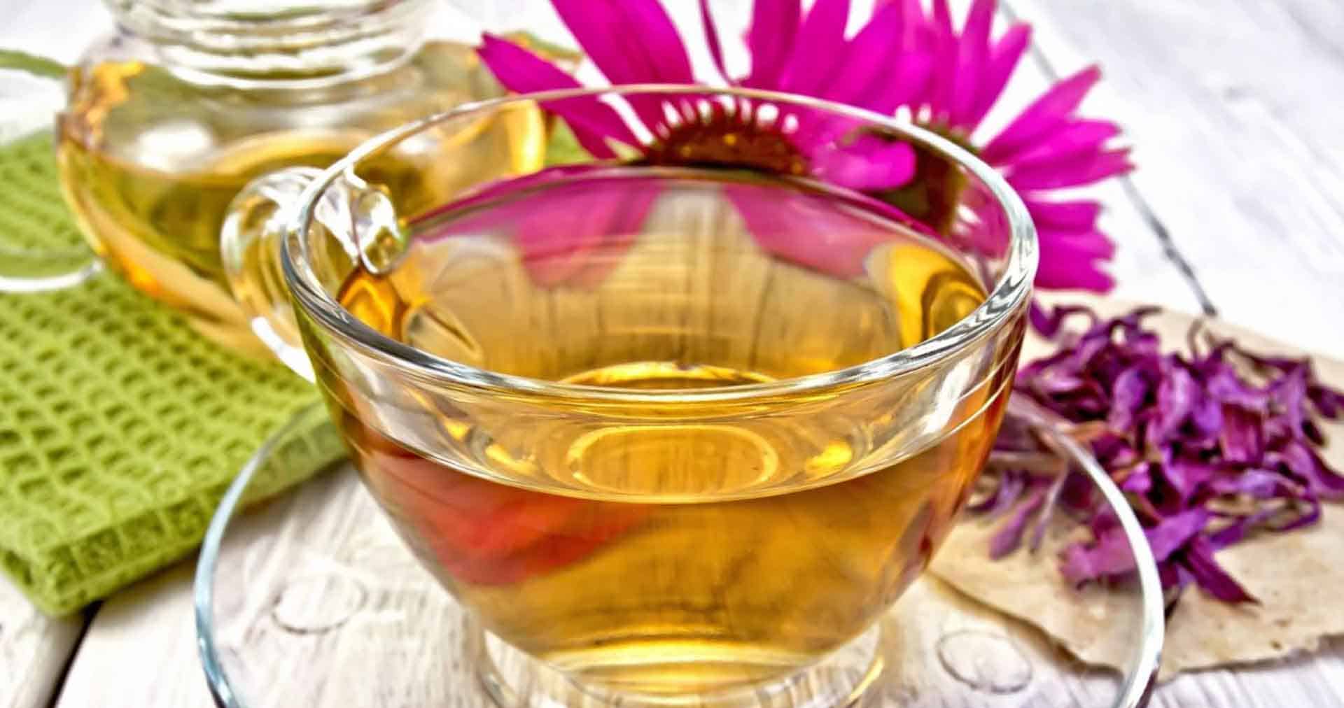 Echinacea - In Resilience Mim Beim Tea