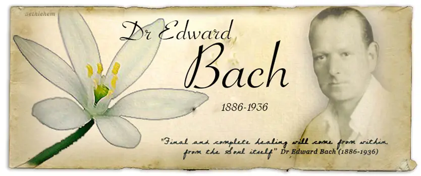 Dr. Edward Bach, 1886-1936, the creator of Bach Flower remedies, with a Star of Bethlehem flower and a quote about healing on a vintage parchment background. Credit: www.creaturecomforters.org.