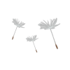 Dandelions